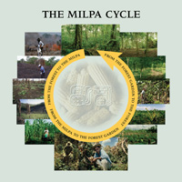 Milpa cycle