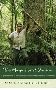 the-mayan-forest-book-cover1